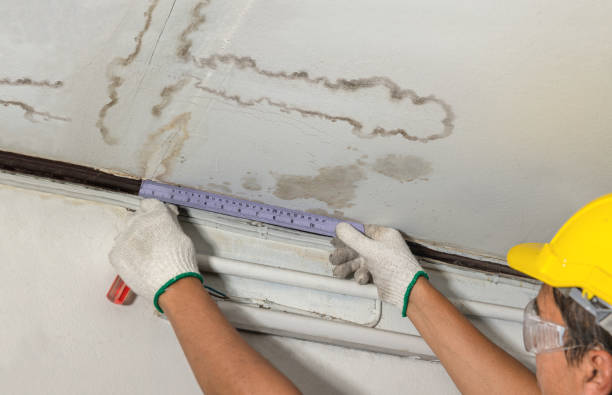Reliable Burst Pipe Cleanup contractor in Belleville, NJ by Local Water Damage Repair